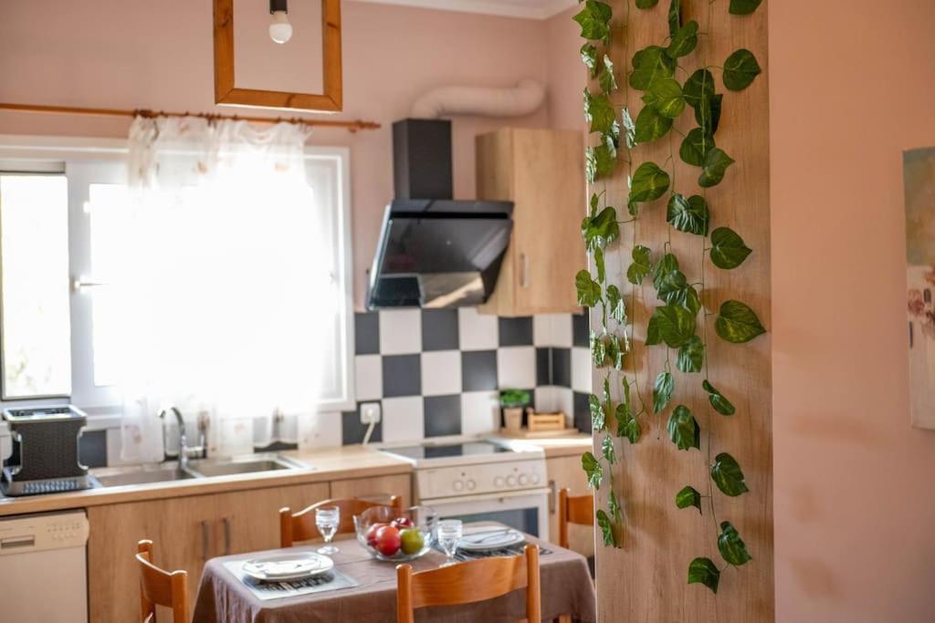 プレベザDream Houseアパートメント エクステリア 写真